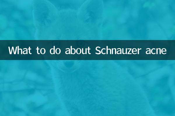 슈나우저 여드름 어떻게 해야 할까요?