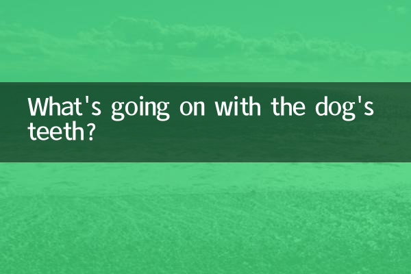 강아지 이빨에 무슨 일이 일어나고 있나요?