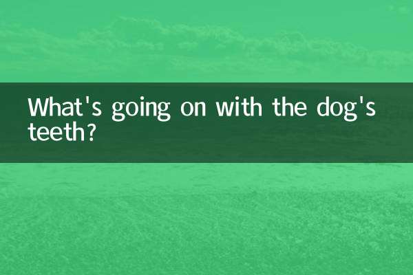 Cosa succede ai denti del cane?