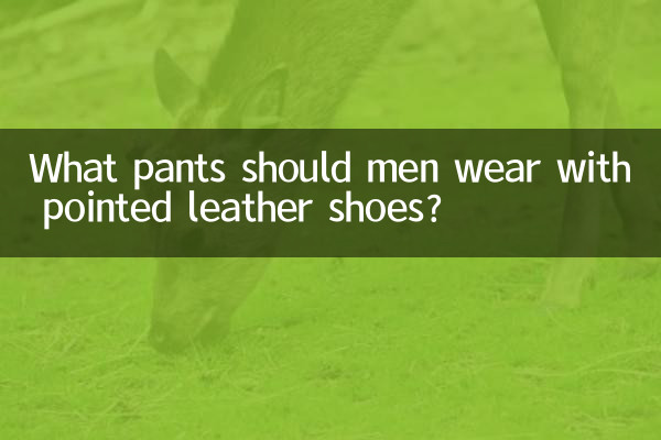 Quali pantaloni dovrebbero indossare gli uomini con scarpe di pelle a punta?