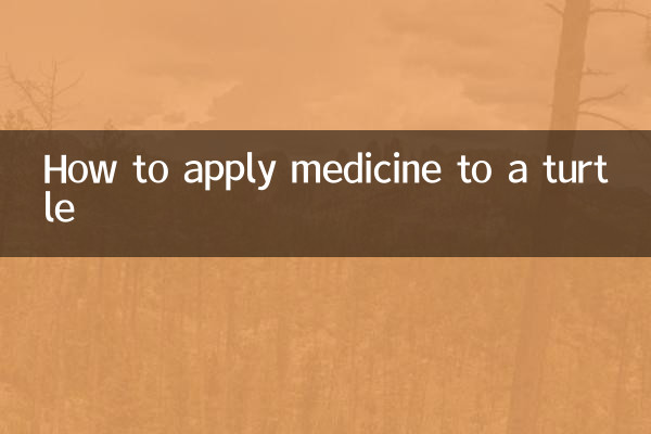 একটি কচ্ছপ ওষুধ প্রয়োগ কিভাবে