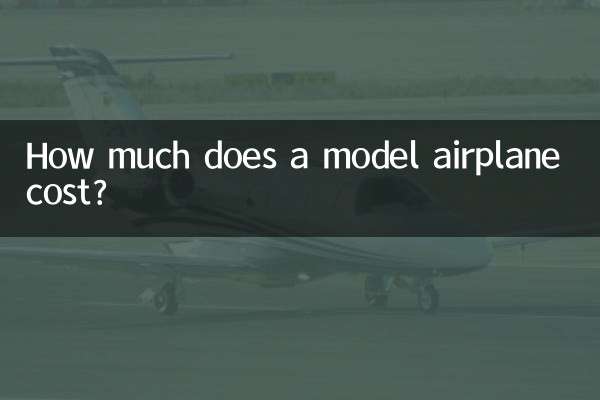 একটি মডেলের বিমানের দাম কত?