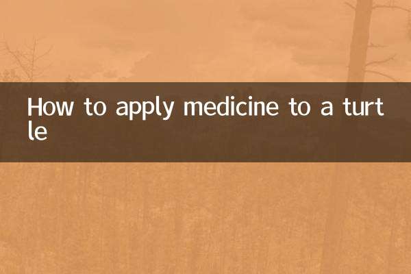 거북이에게 약을 바르는 방법