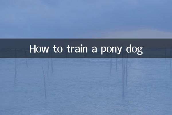 小马犬怎么训练