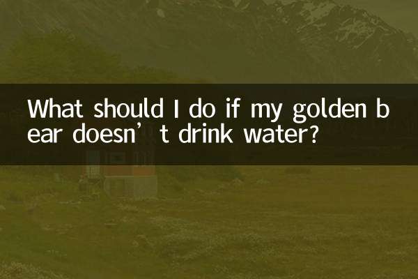 O que devo fazer se meu urso dourado não beber água?
