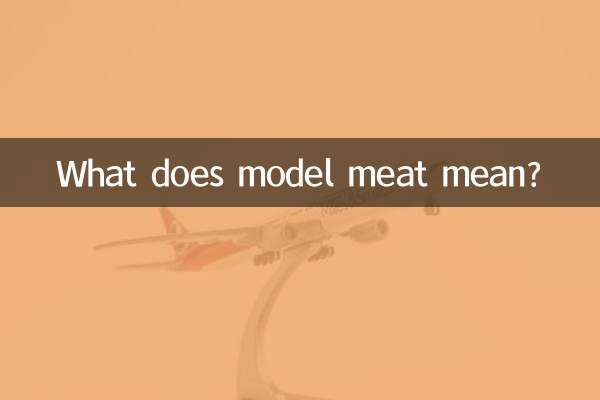 모형고기은 무슨 뜻인가요?