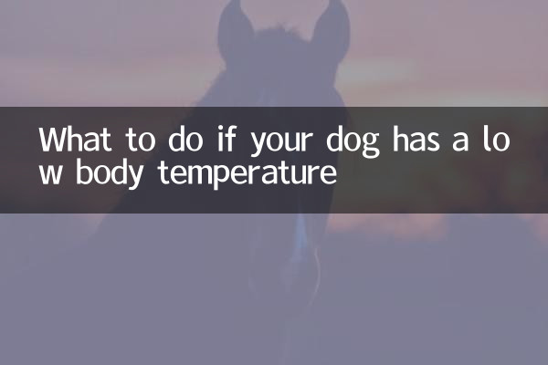 강아지의 체온이 낮을 경우 대처 방법