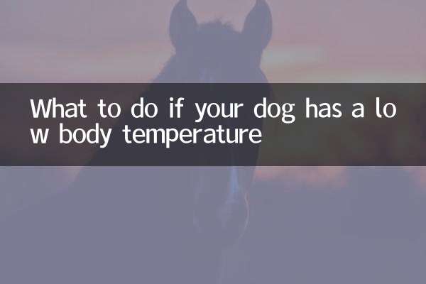 강아지의 체온이 낮을 경우 대처 방법