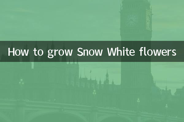 How to grow Snow White flowers