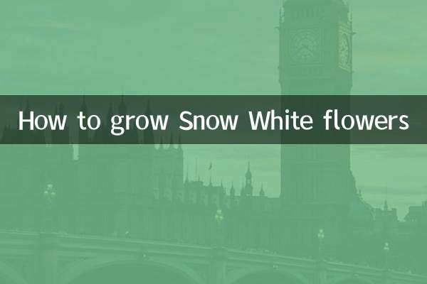 How to grow Snow White flowers