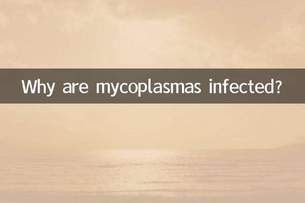 Why are mycoplasmas infected?