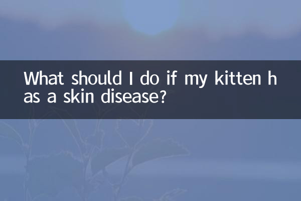 What should I do if my kitten has a skin disease?