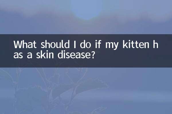 What should I do if my kitten has a skin disease?