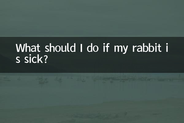 اگر خرگوش مریض است چه کار کنم؟