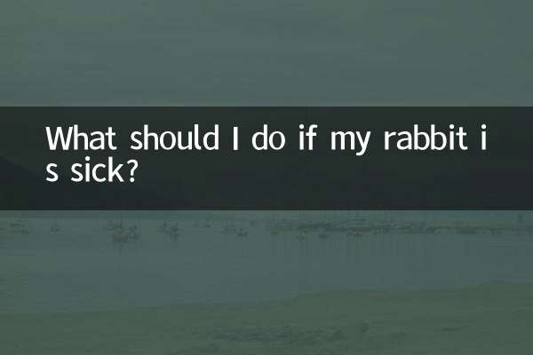 토끼가 아프면 어떻게 해야 하나요?