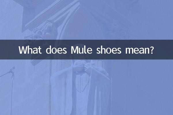 کفش مولد به چه معناست؟