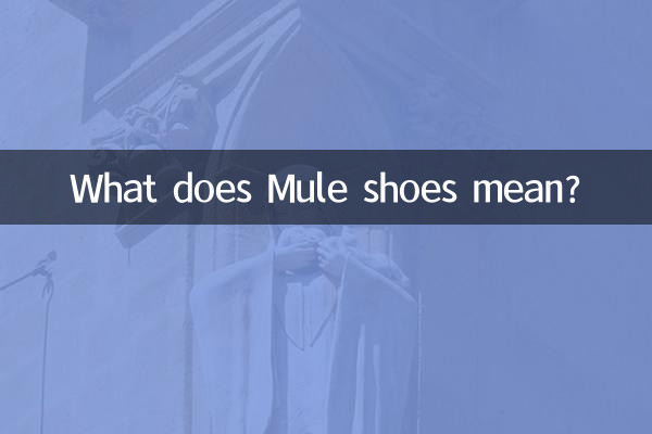 뮬 신발은 무슨 뜻인가요?