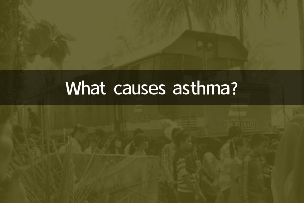 Was verursacht Asthma?