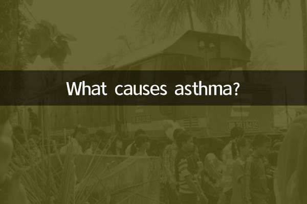 Was verursacht Asthma?