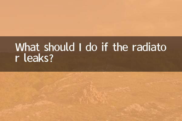 暖气片漏水了怎么办