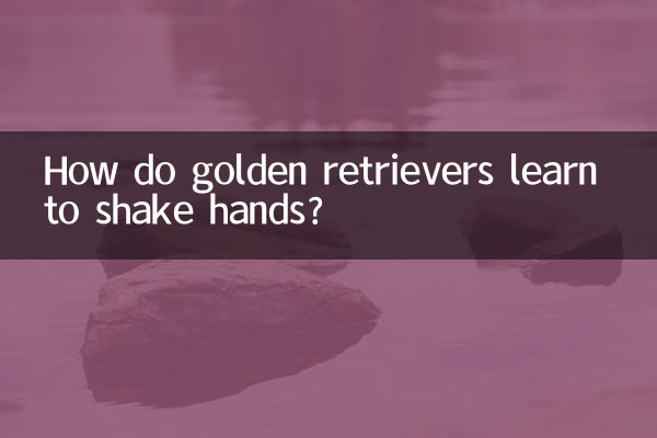 ゴールデンレトリバーはどのようにして握手を覚えるのでしょうか?