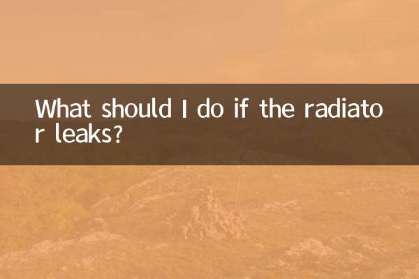 ¿Qué debo hacer si el radiador tiene una fuga?