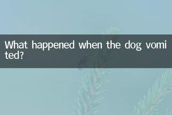 What happened when the dog vomited?