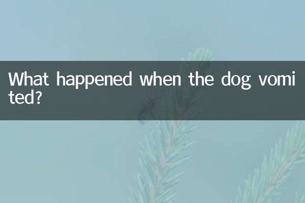 Que s'est-il passé lorsque le chien a vomi ?
