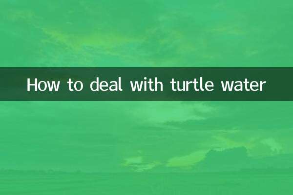 How to deal with turtle water
