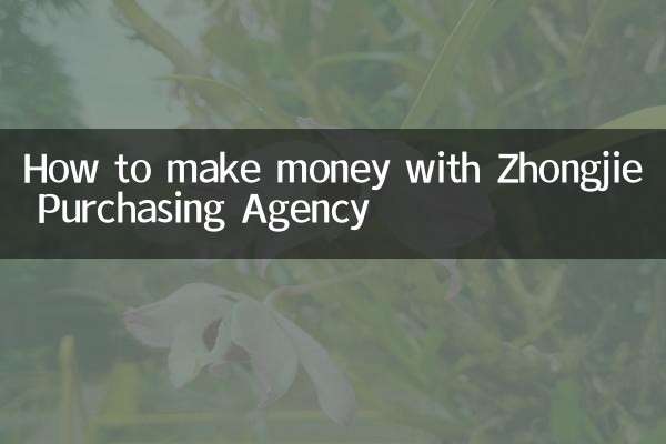 Cómo ganar dinero con la agencia de compras Zhongjie