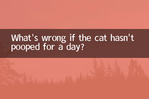 What's wrong if the cat hasn't pooped for a day?