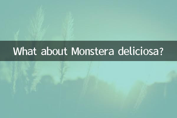 What about Monstera deliciosa?