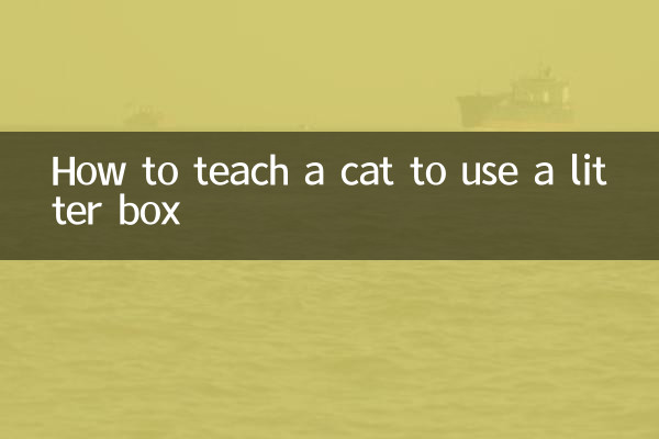 Come insegnare a un gatto a usare la lettiera