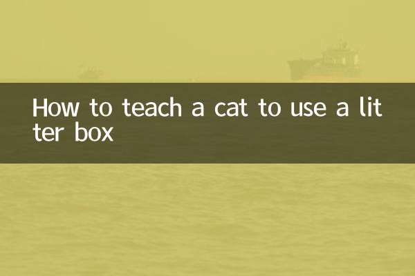 怎么教用猫砂盆