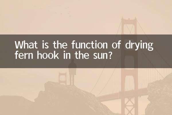 Qual è la funzione dell'essiccazione dell'amo di felce al sole?