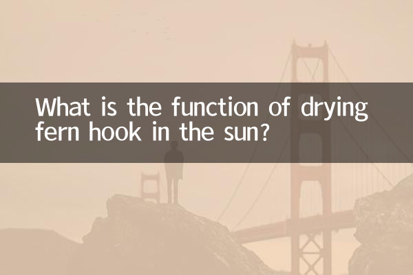 ¿Cuál es la función de secar el anzuelo de helecho al sol?