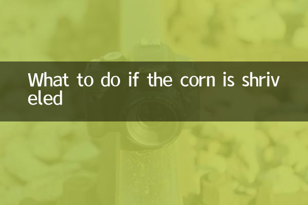 यदि मक्का सिकुड़ा हुआ हो तो क्या करें?