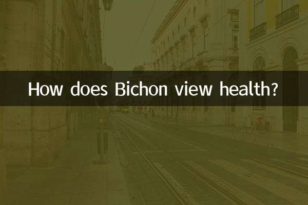 बिचोन स्वास्थ्य को किस प्रकार देखता है?