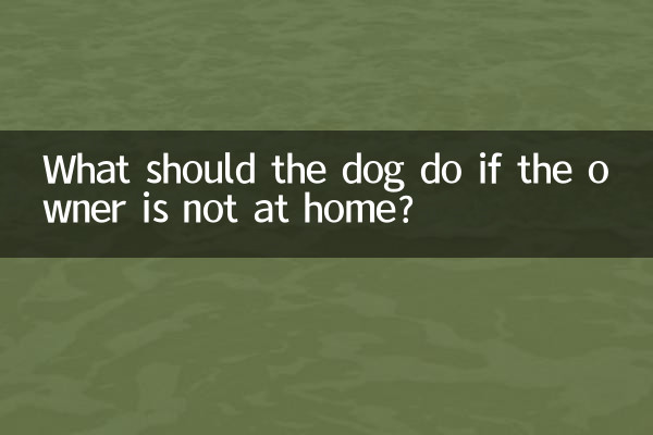 अगर मालिक घर पर नहीं है तो कुत्ते को क्या करना चाहिए?