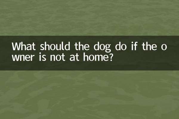 主人不在家狗狗怎麼辦