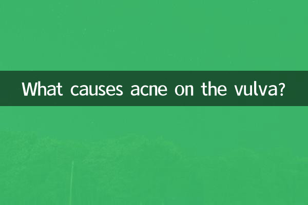 Cosa causa l'acne sulla vulva?