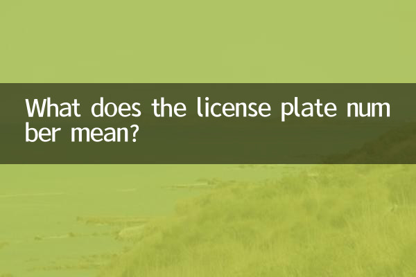 What does the license plate number mean?