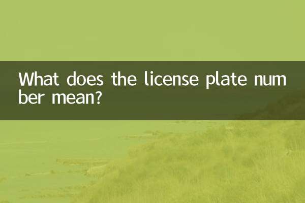 What does the license plate number mean?