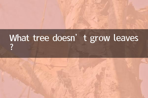 나뭇잎이 자라지 않는 나무는 무엇입니까?