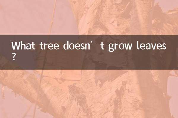 কোন গাছে পাতা হয় না?