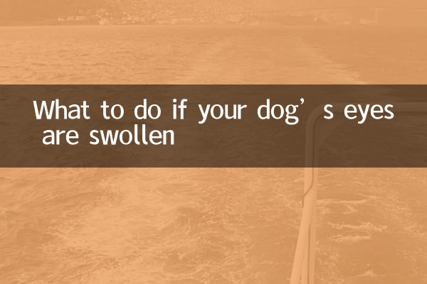 狗狗眼腫怎麼辦