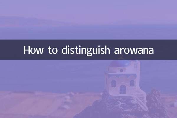 Comment distinguer l'arowana