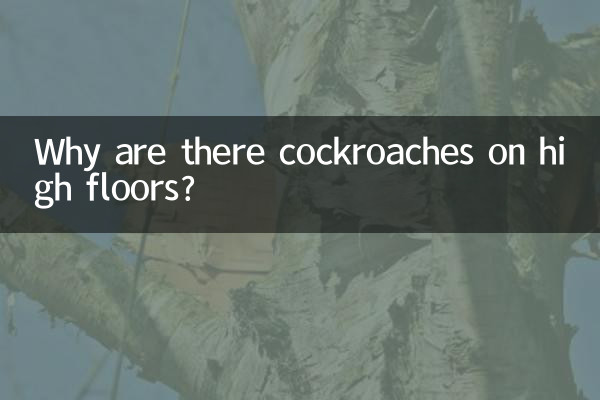 چرا سوسک در طبقات بالا وجود دارد؟