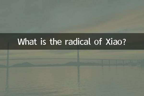 샤오의 근수는 무엇입니까?