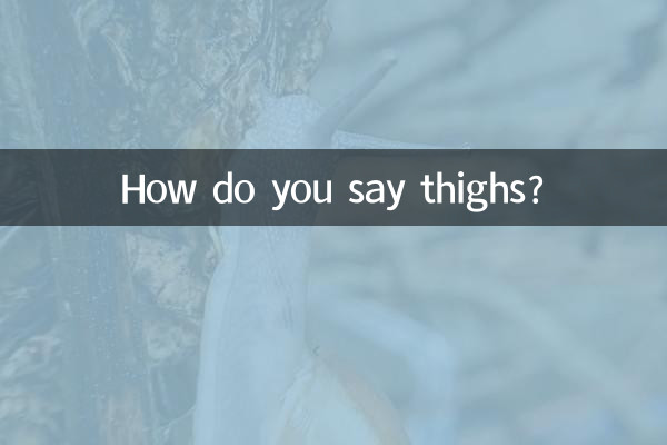 আপনি উরু কিভাবে বলেন?